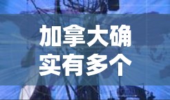 加拿大确实有多个提供VPN服务的平台，这些平台通常被称为加拿大VPN节点或加拿大网络服务提供商。这些平台提供了一定的VPN功能，但并不提供真正的加密通信服务。以下是一些加拿大常用的VPN服务平台