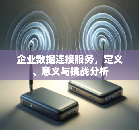 企业数据连接服务，定义、意义与挑战分析