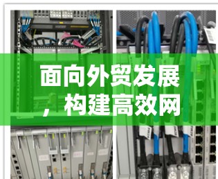 面向外贸发展，构建高效网络，外贸网络优化工具的重要性