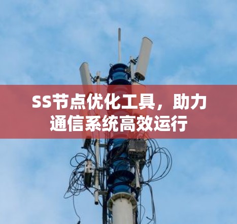 SS节点优化工具，助力通信系统高效运行