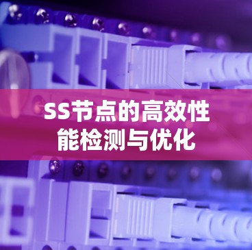 SS节点的高效性能检测与优化 SS节点的高效性能检测与优化