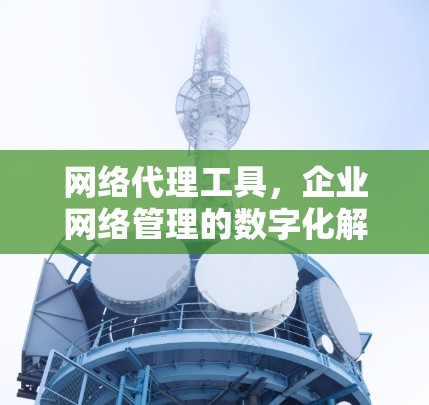 网络代理工具，企业网络管理的数字化解决方案
