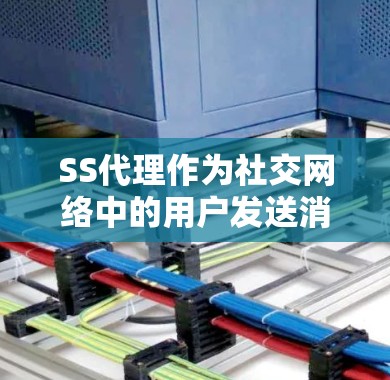 SS代理作为社交网络中的用户发送消息或分享信息的工具，其性能直接影响用户体验。以下是SS代理性能分析的关键点和解决方案