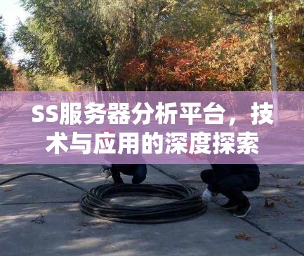 SS服务器分析平台，技术与应用的深度探索