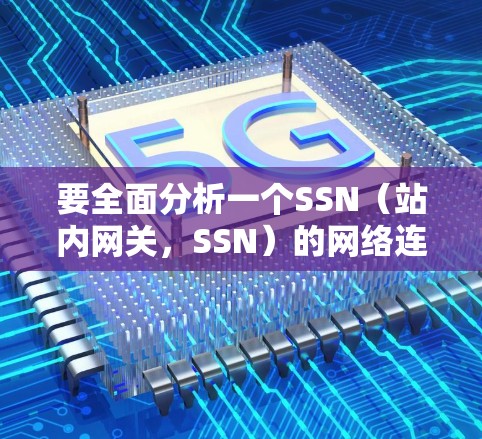 要全面分析一个SSN（站内网关，SSN）的网络连接情况，可以按照以下步骤进行