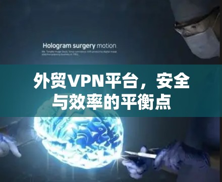 外贸VPN平台，安全与效率的平衡点