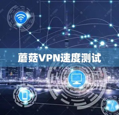 蘑菇VPN速度测试