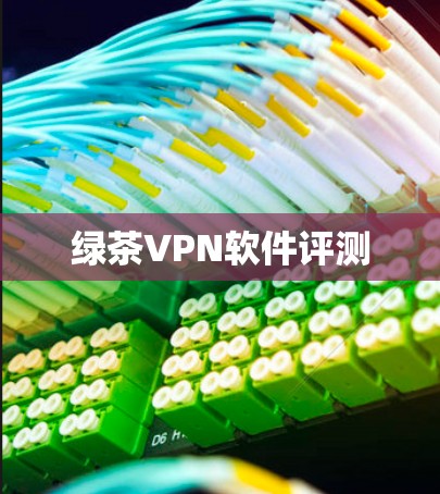 绿茶VPN软件评测