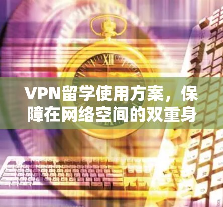 VPN留学使用方案，保障在网络空间的双重身份