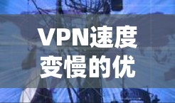 VPN速度变慢的优化方法解析